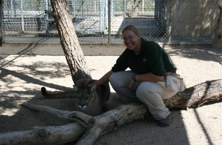 Me working free contact with a mountain lion